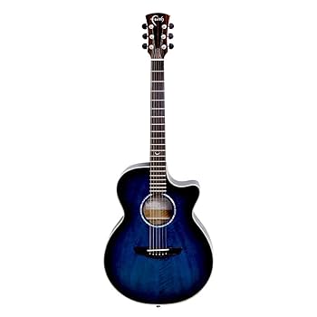 アコースティックギター　faith Amazon | Faith FVBLM エレクトリックアコースティックギター